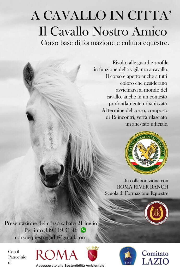 1-a-cavallo-in-citta-il-cavallo-nostro-amico-roma-river-ranch
